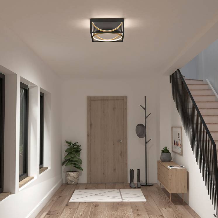 Luxury Integrated Integrated LED Flush Mount