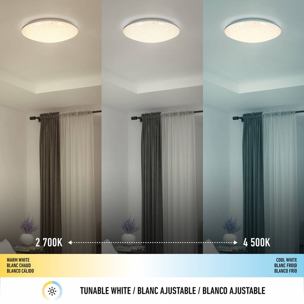 Sparkle Integrated LED Flush Mount Light - With Remote