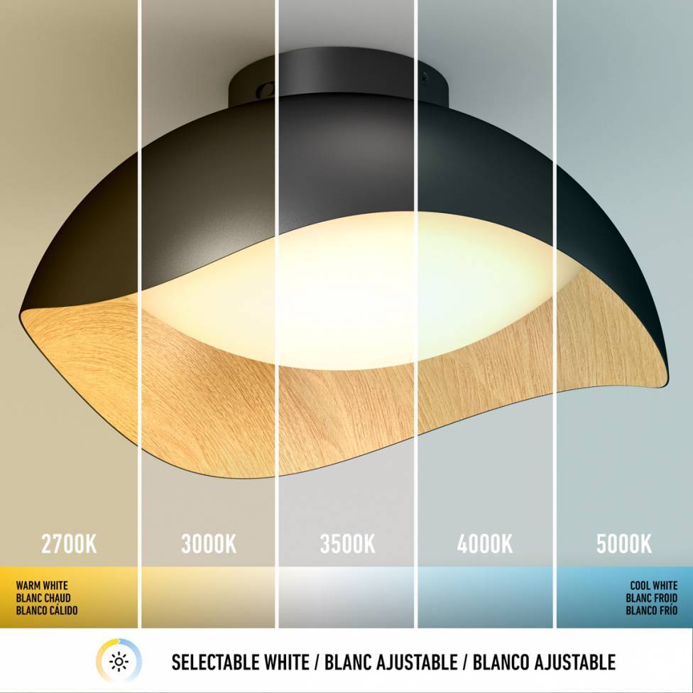 Adara 15 in. LED flush mount light 5 CCT black and wood