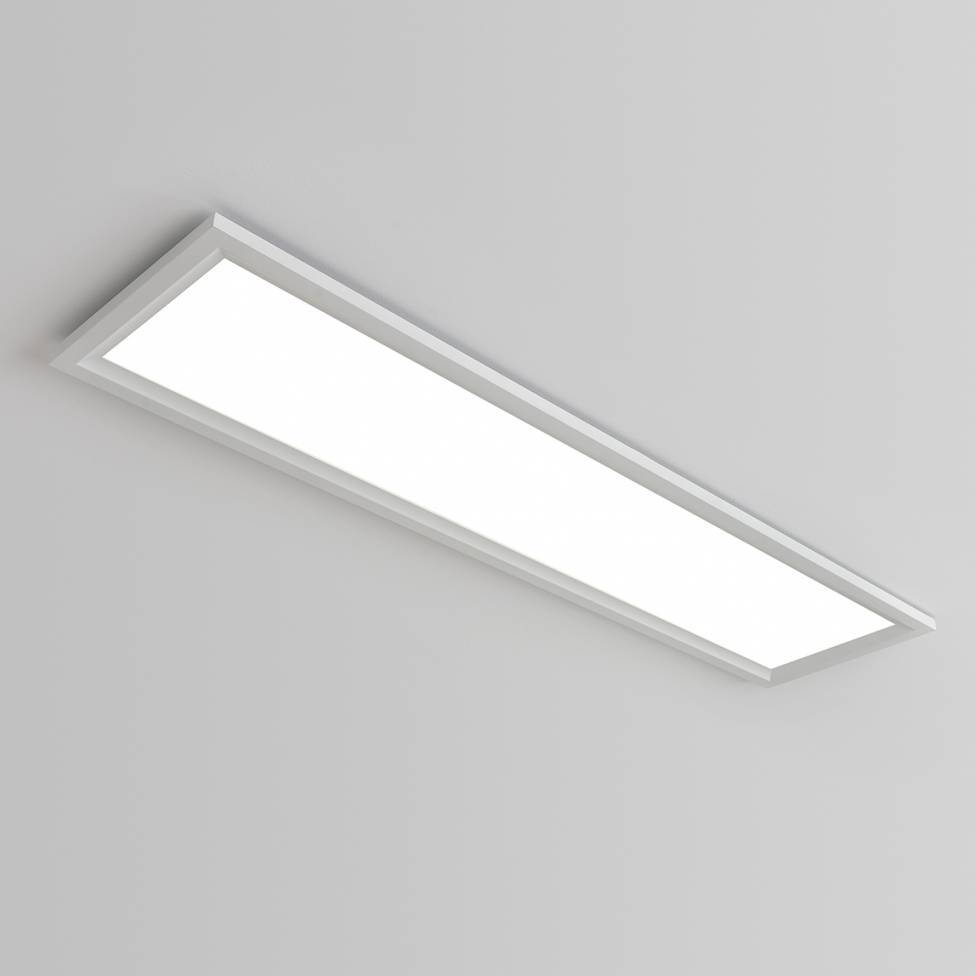 Skylight Integrated LED Flush Mount Light