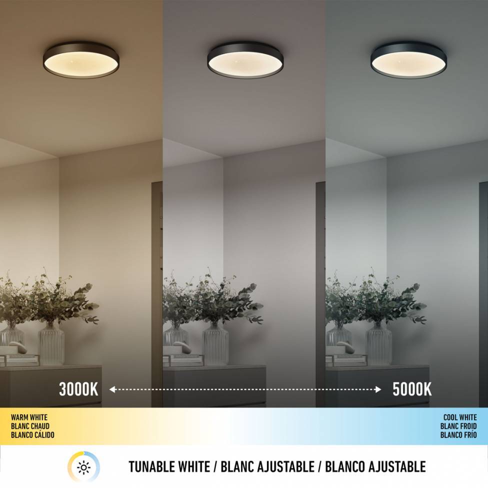 Celestia 15 in. modern LED flush mount light with remote