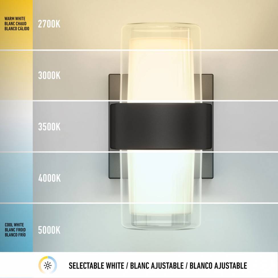 Colton modern LED indoor/outdoor wall light 5CCT black